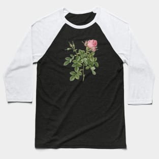 Vintage Dwarf Damask Rose Botanical Illustration Baseball T-Shirt